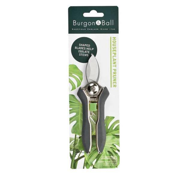 Burgan & Ball - Houseplant Pruner - Hicks Nurseries