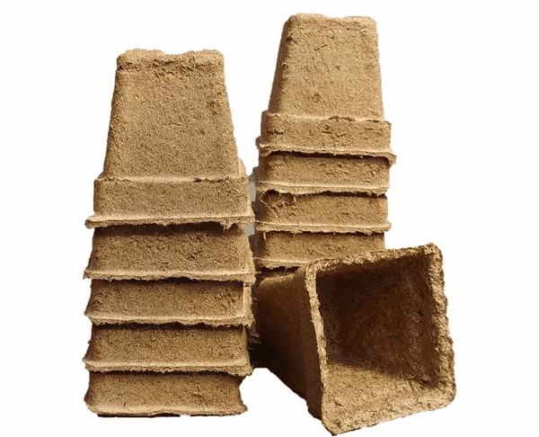 manure plant pots CowPots™ - Biodegradable Plant Pots - 4-inch
