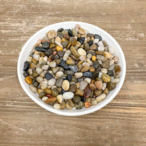 Exotic Pebbles - Polished Mixed Gravel - 5 lb. - Hicks Nurseries