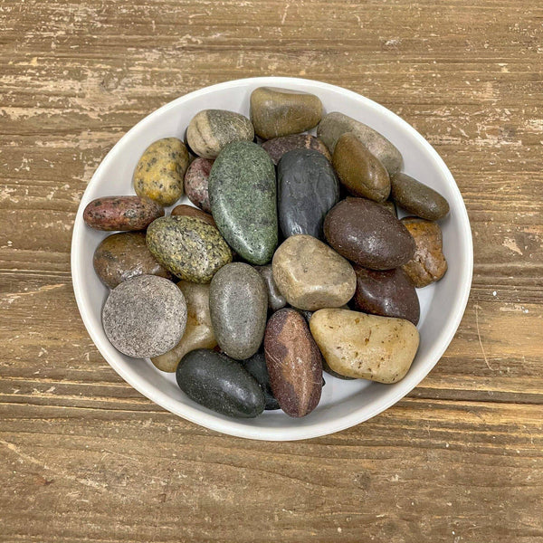 Exotic Pebbles - Polished Mixed Pebbles - 5 lb. - Hicks Nurseries