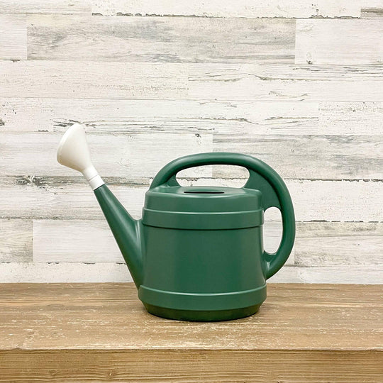 Green Watering Can - 2gal.