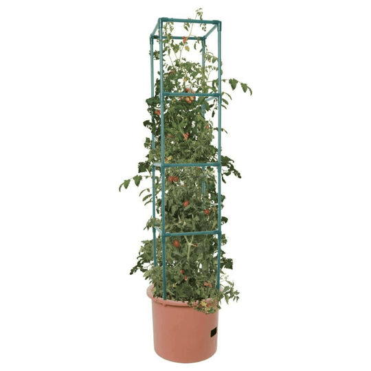 Heavy Duty Tomato Barrel w/ Tower Planter - 4ft