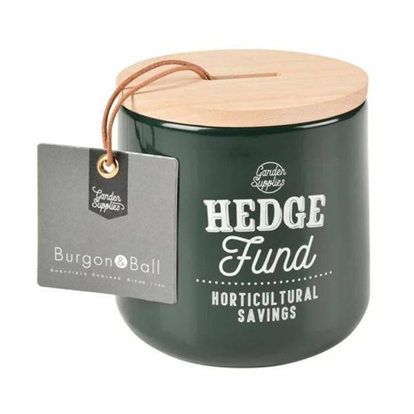 Hedge Fund Money Box - Frog Green - Hicks Nurseries