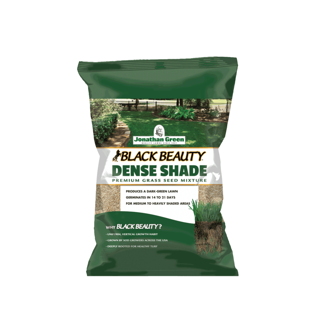 grass seed for low light areas Jonathan Green - Dense Shade Grass Seed Mixture
