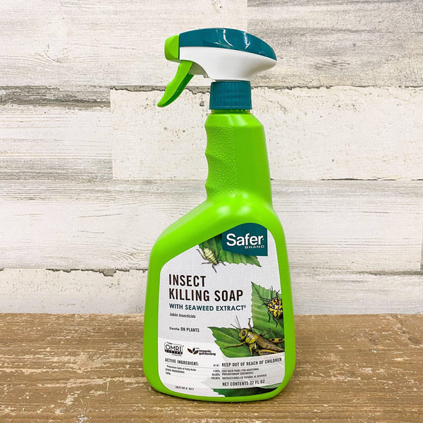 is safer's insecticidal soap safe Safer® Brand - Insect Killing Soap Ready-To-Use
