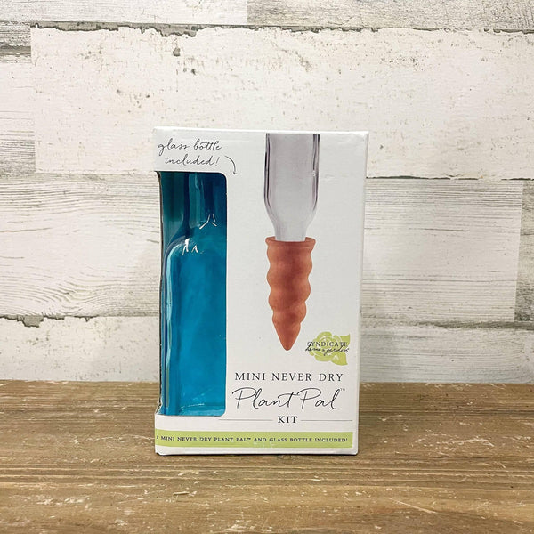 Syndicate - Mini Never Dry Plant Pals™ with Vintage Bottle - Hicks Nurseries