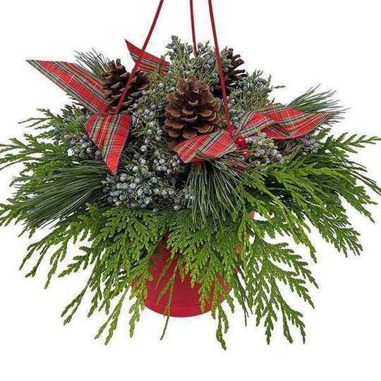 Mixed Fresh Greens Hanging Basket - 10-inch