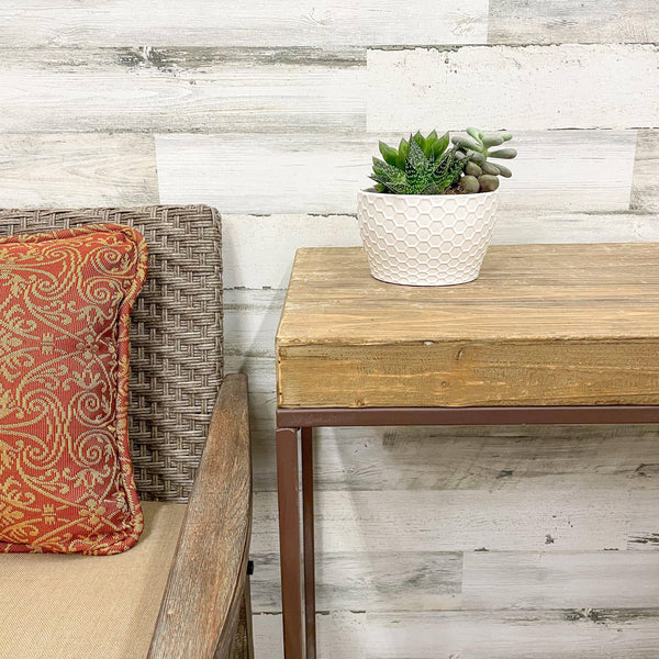 Succulent Combo Garden - Assorted - 6.5-inch Pot - Hicks Nurseries