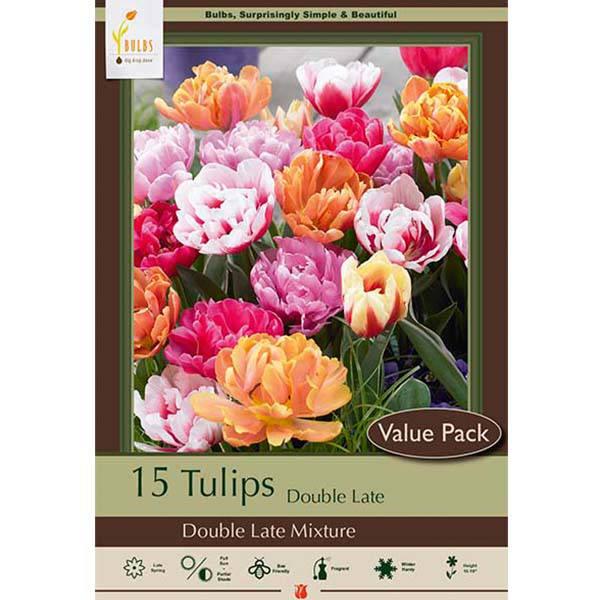 Tulip - Double Late Double Dutch - Mix - Hicks Nurseries