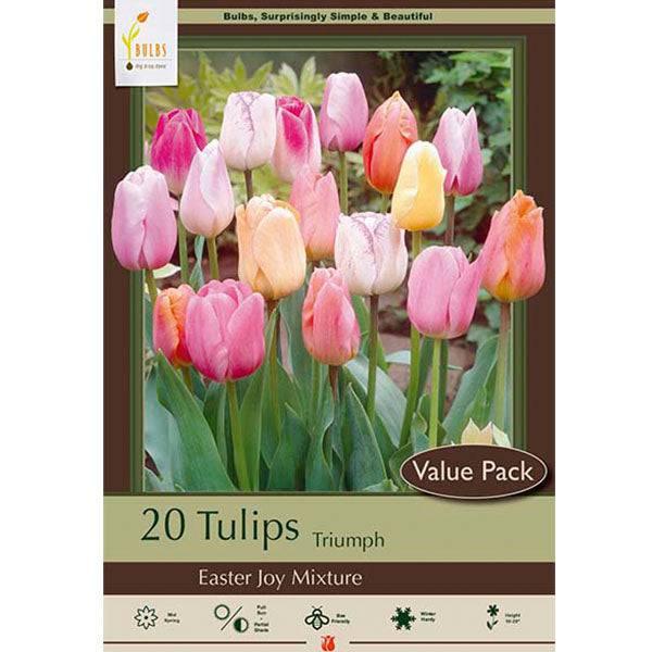 Tulip - Easter Joy - Value Pack - Hicks Nurseries
