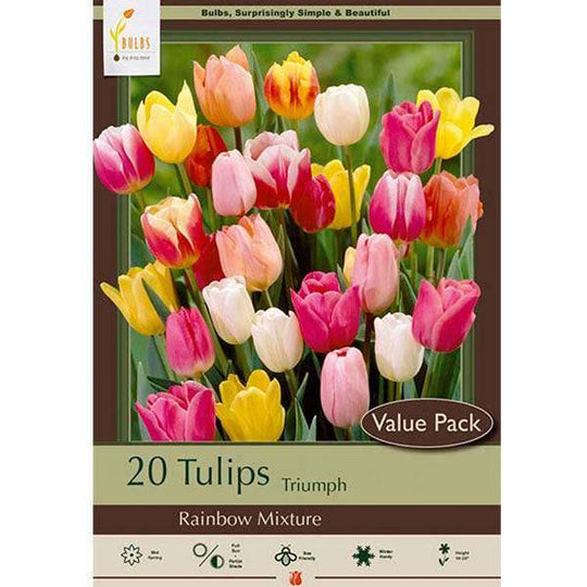 Tulip Bulbs - Rainbow Mix Value Pack