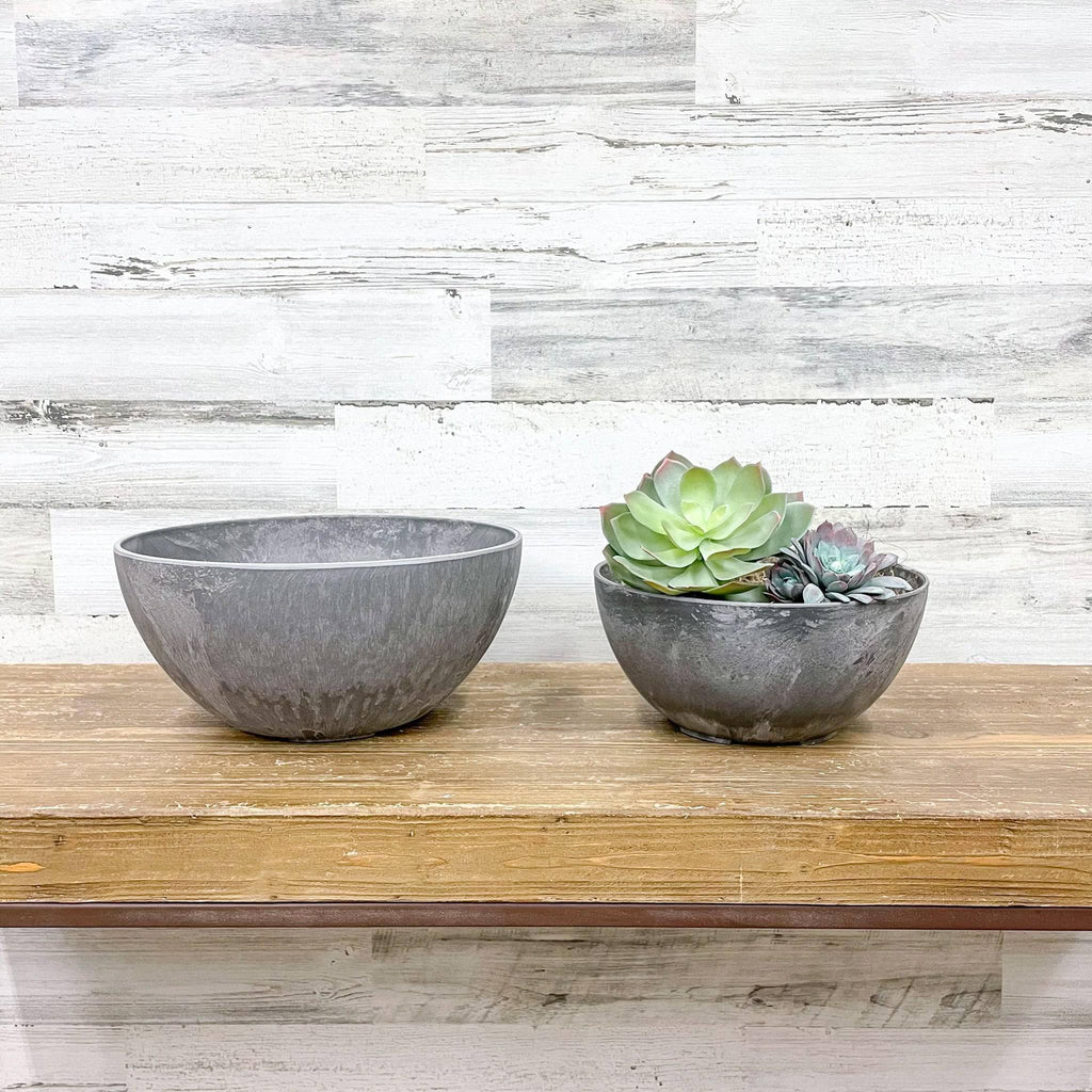 10 inch round succulent planter Bowl Planter Grey