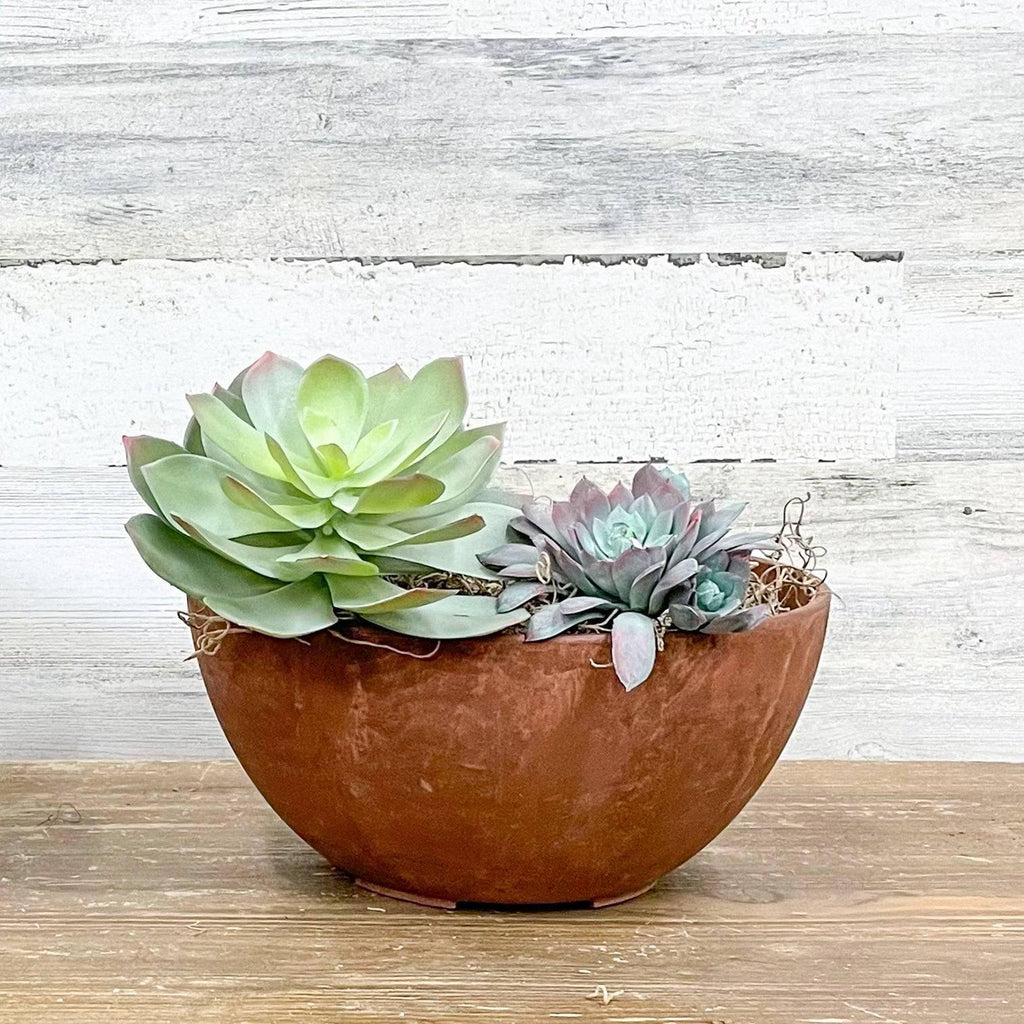 10 inch succulent planter Bowl Planter - Rust
