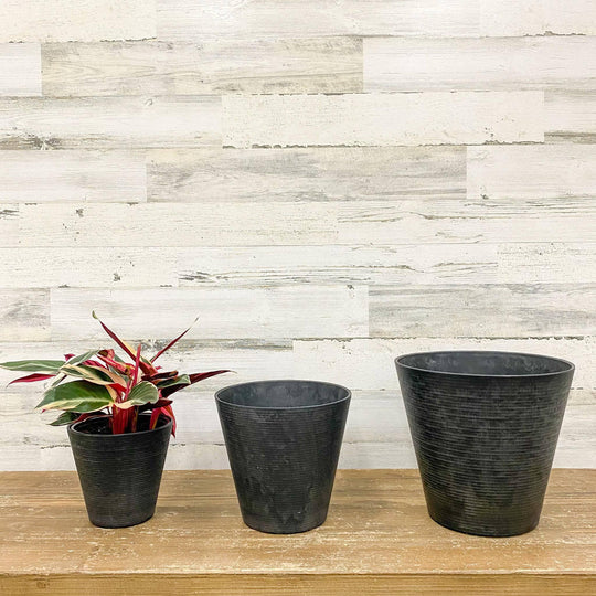 Cali Pot - Black - 6-inch