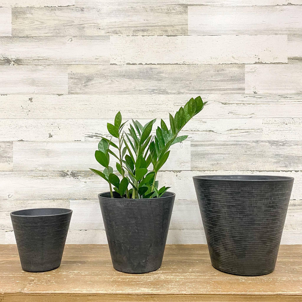 plants for 8 inch pot Cali Pot - Black