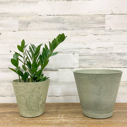 Cali Pot - Mint - 8-inch