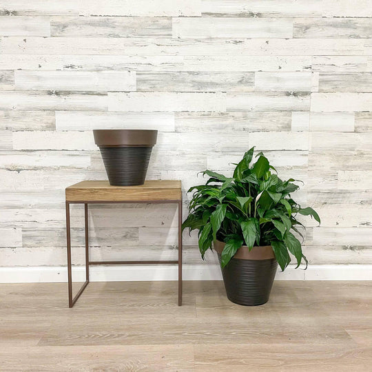 Carve Finish Planter Chocolate - 14-inches