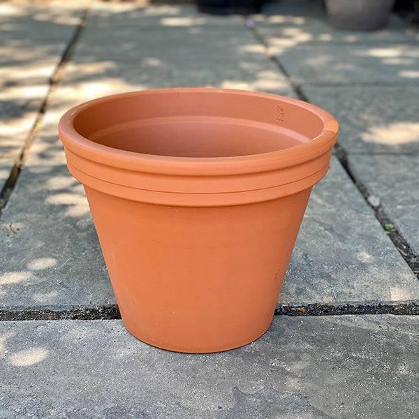 Clay Pot - 12-inch - Hicks Nurseries