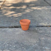 Clay Pot - 2.5-inch - Hicks Nurseries