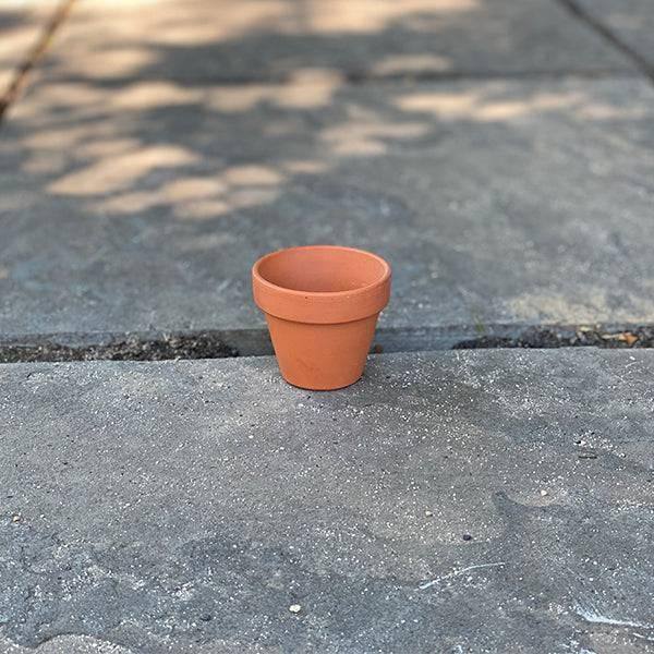 2.5 inch plant pots Clay Pot