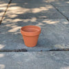 Clay Pot - 4-inch - Hicks Nurseries