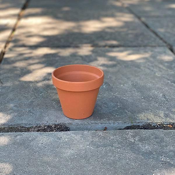 4 inch indoor plant pots Clay Pot