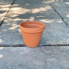 Clay pot - 6-inch - Hicks Nurseries