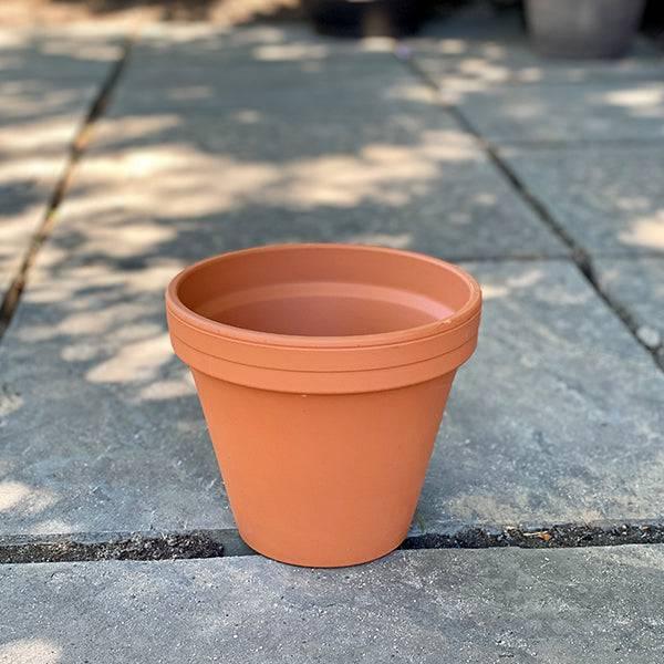 Clay Pot - 7-inch - Hicks Nurseries
