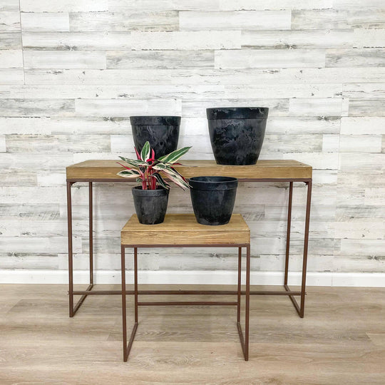 Dolce Pot - Black - 6-inch