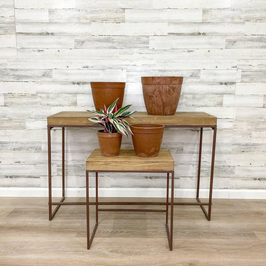 Dolce Pot - Rust - 6-inch