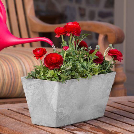 Ella Rectangle Pot - Grey - 14.5-inches - Hicks Nurseries