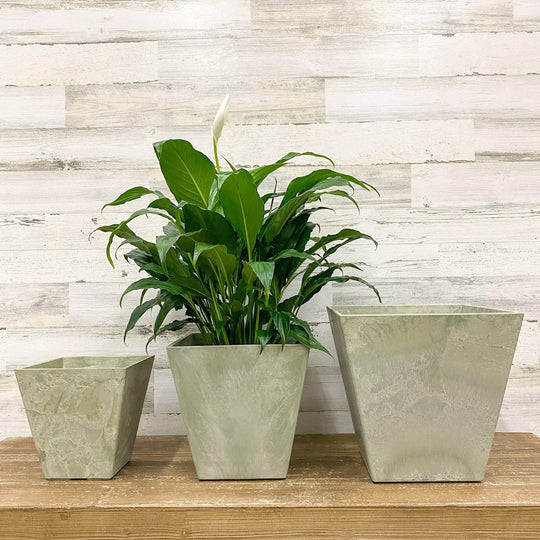 Ella Square Pot - Mint - 10-inches