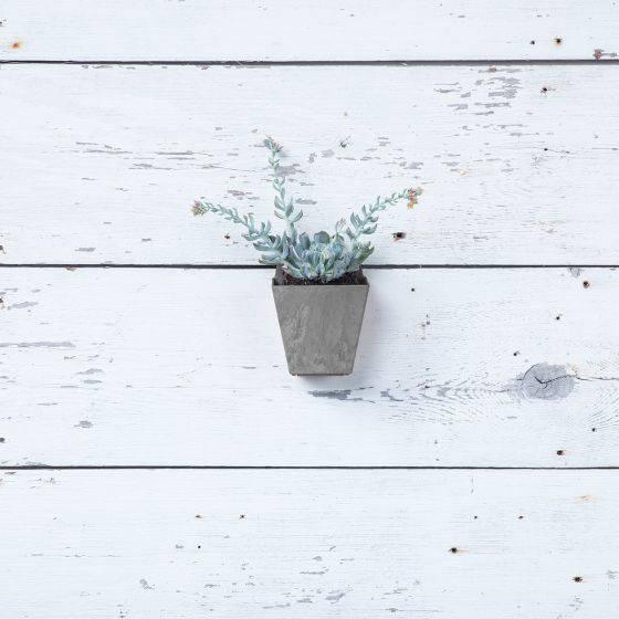 Ella Wall Pot - Grey - 5.5-inches - Hicks Nurseries