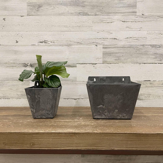 Ella Wall Pot - Grey - 5.5-inches
