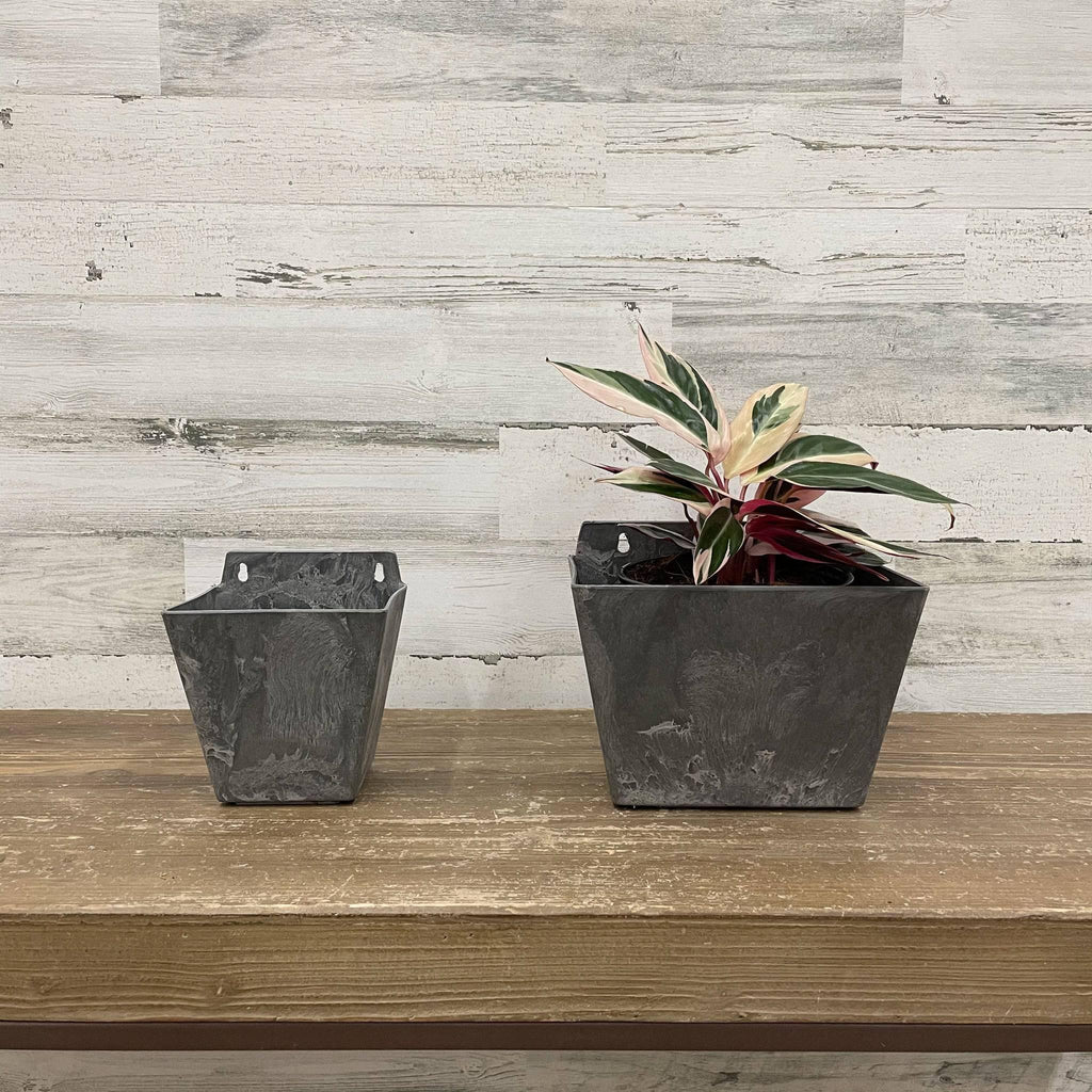 plant pots for walls outside Ella Wall Pot - Grey