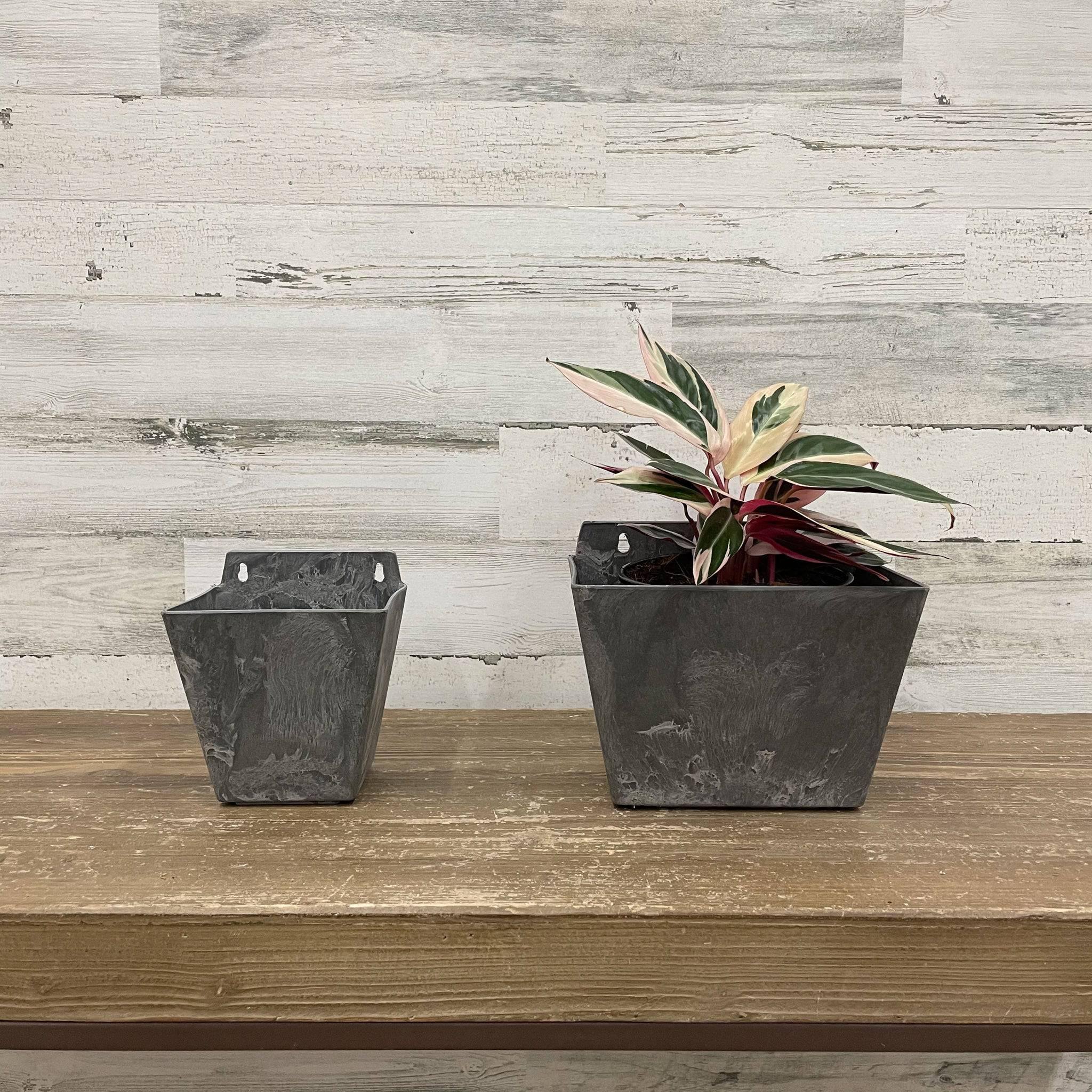 8.5 inch plant pot Ella Wall Pot - Grey