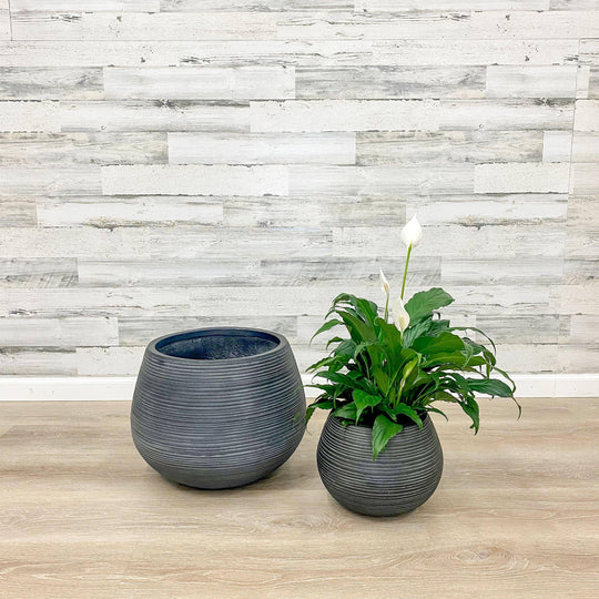 Fibreclay Belly Planter - Black - 12-inch