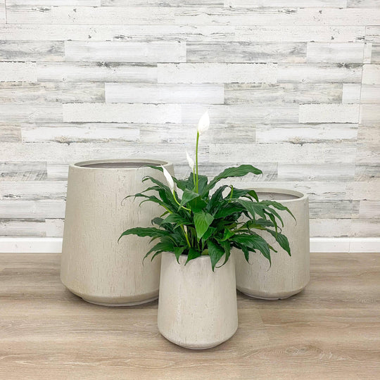 Fibreclay Flare Cylinder Planter - Beige - 11-inch