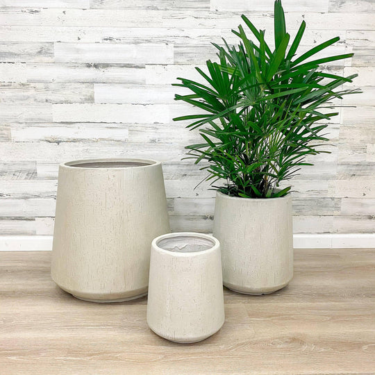 Fibreclay Flare Cylinder Planter - Beige - 14.5-inch