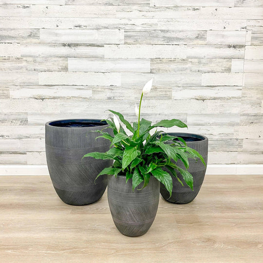 Fibreclay Mixed Stripe Planter - Black - 11-inch
