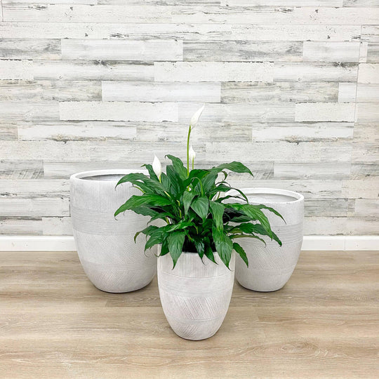 Fibreclay Mixed Stripe Planter - White - 11-inch