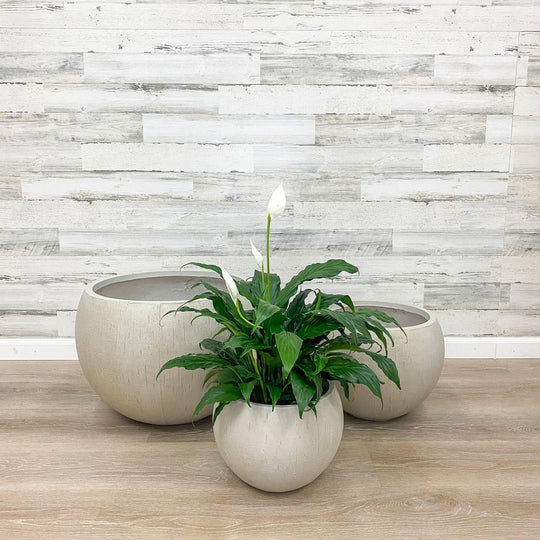 Fibreclay Orb Planter - Beige - 12-inch