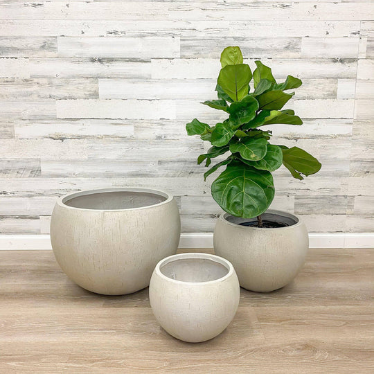 Fibreclay Orb Planter - Beige - 16-inch