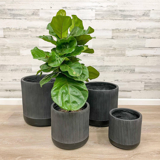 Fibreclay Ribbed Cylinder - Black - 12-inch