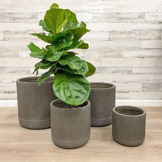 Fibreclay Ribbed Cylinder - Brown - 12-inch