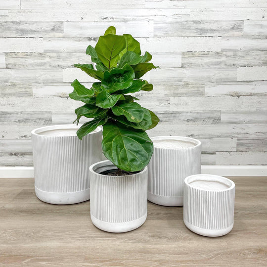 Fibreclay Ribbed Cylinder - White - 12-inch