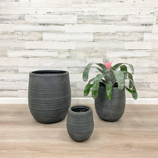 Fibreclay Striped Planter -  Black - 13-inch