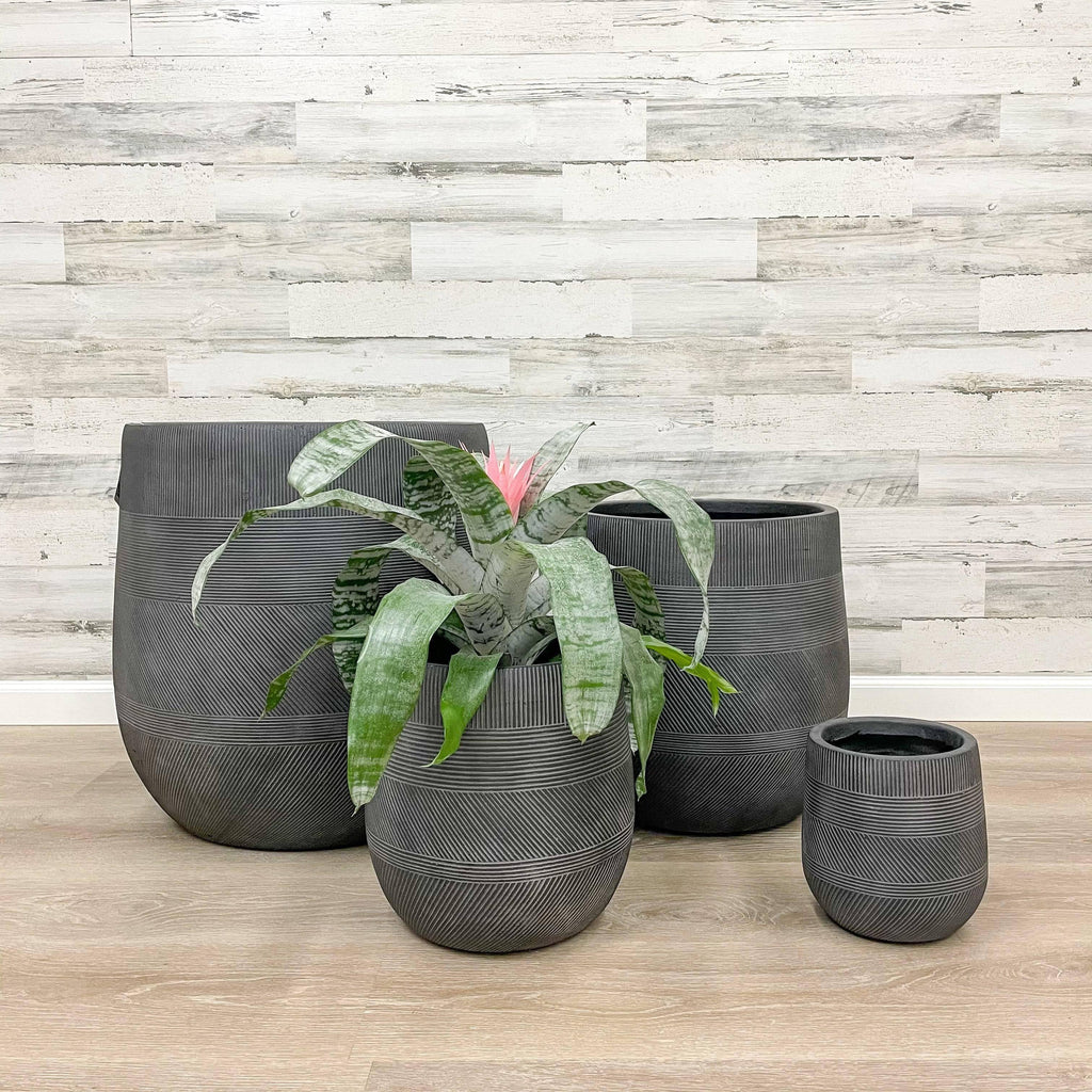 12 inch tall plant pot Fibreclay Tall Belly Planter - Black