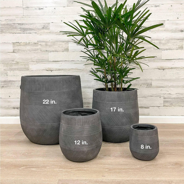 Fiberclay Tall Belly Planter - Black - 17-inch - Hicks Nurseries