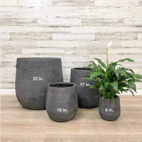 Fiberclay Tall Belly Planter - Black - 8-inch - Hicks Nurseries